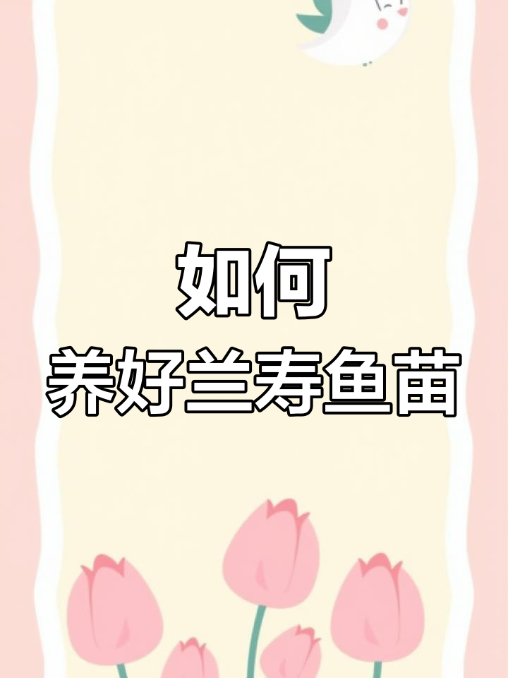 兰寿鱼苗饲养全攻略