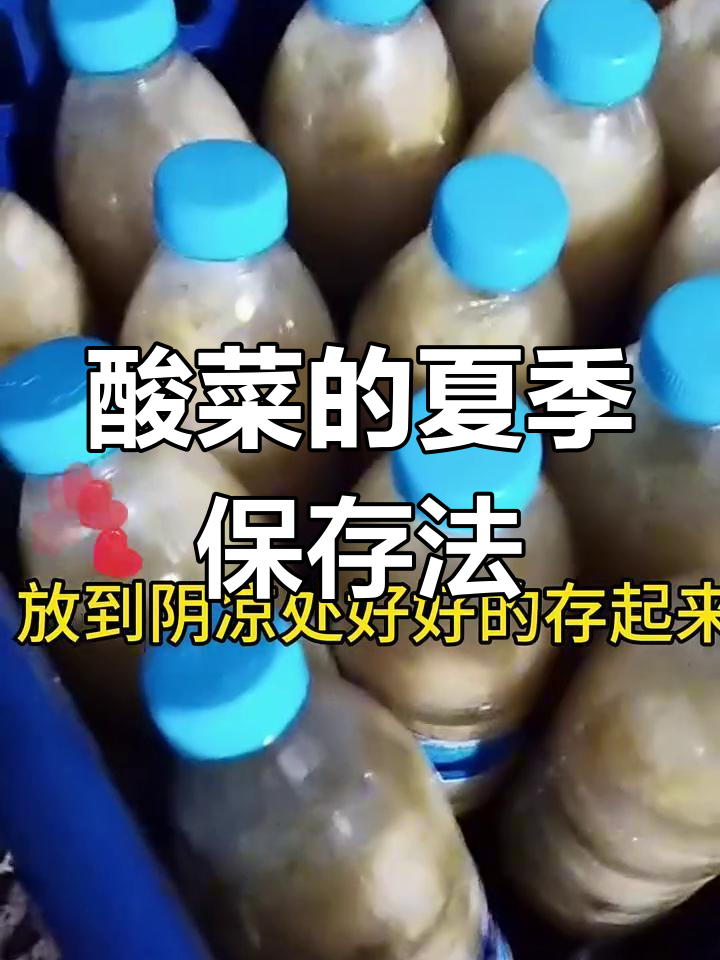 酸菜这样储存,夏天不烂不发霉