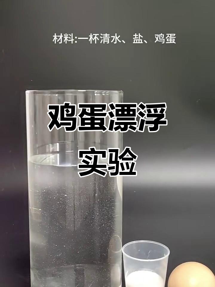 只需盐和水,鸡蛋就能浮起来!科学小实验揭秘原理