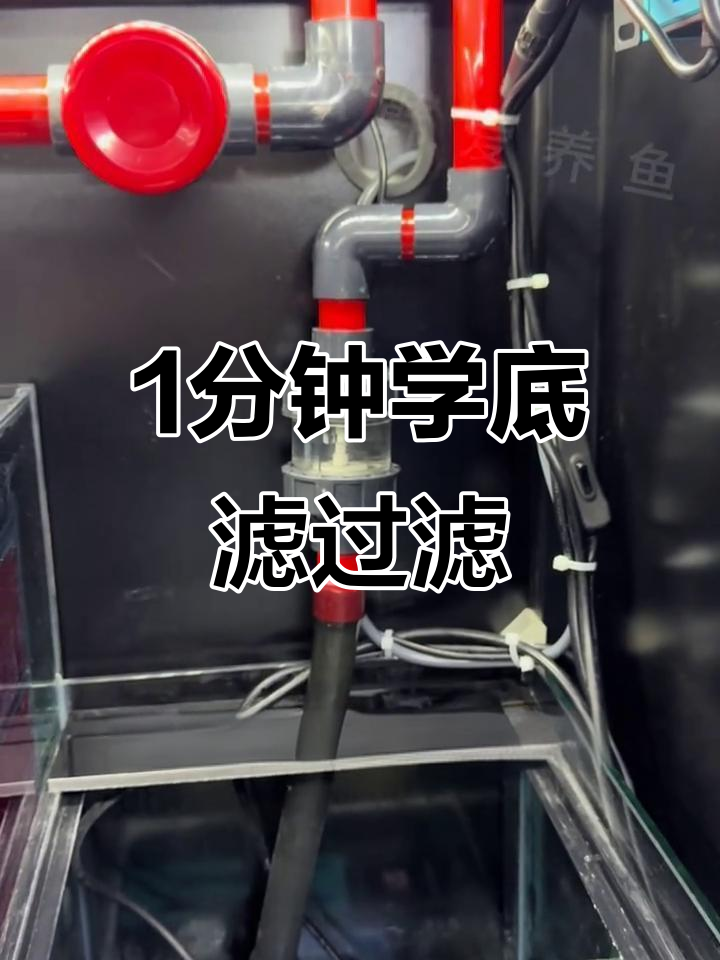 底滤鱼缸物理过滤全解析，轻松学会！