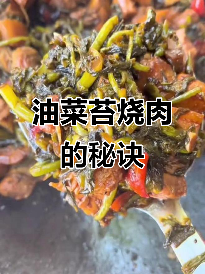 油菜苔烧肉技巧大揭秘,掌握这些让你做出完美美味