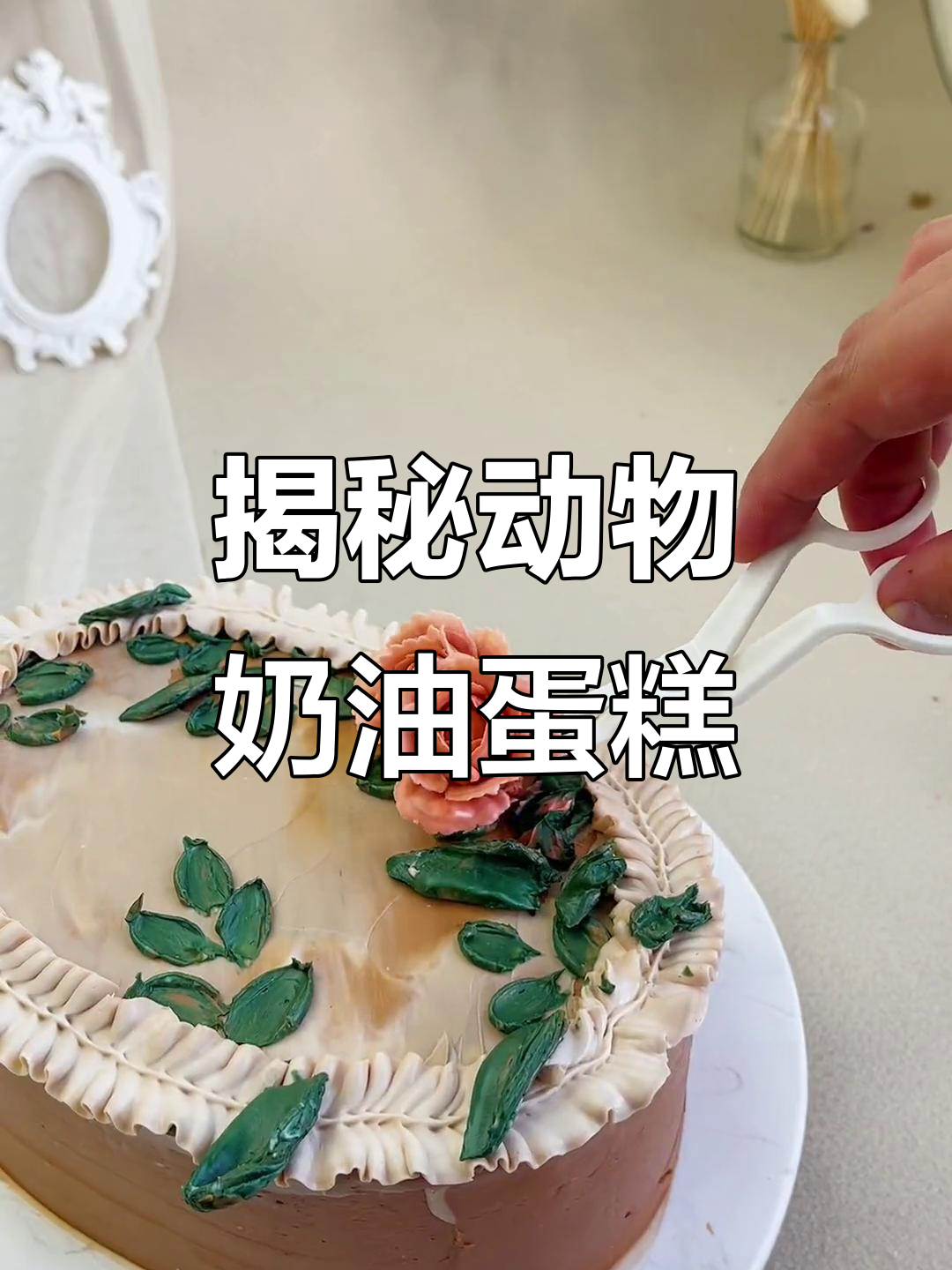 动物奶油蛋糕的秘密:为什么它这么贵?
