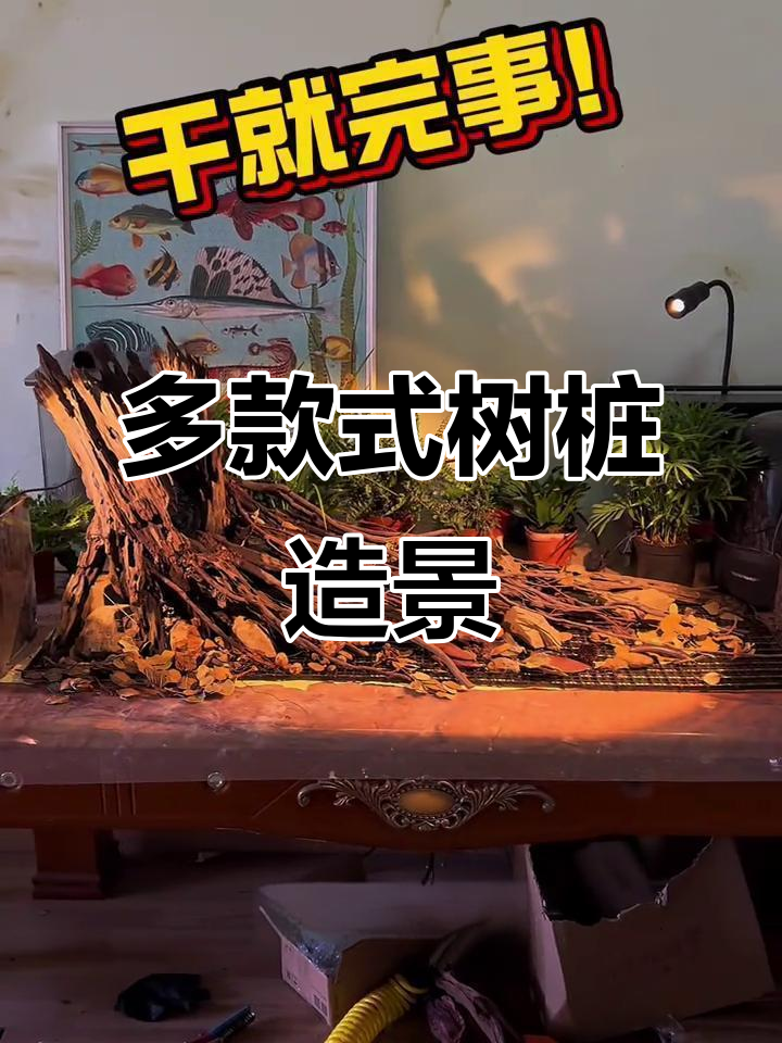 树桩造景大揭秘:从大型到迷你,每一款都超美