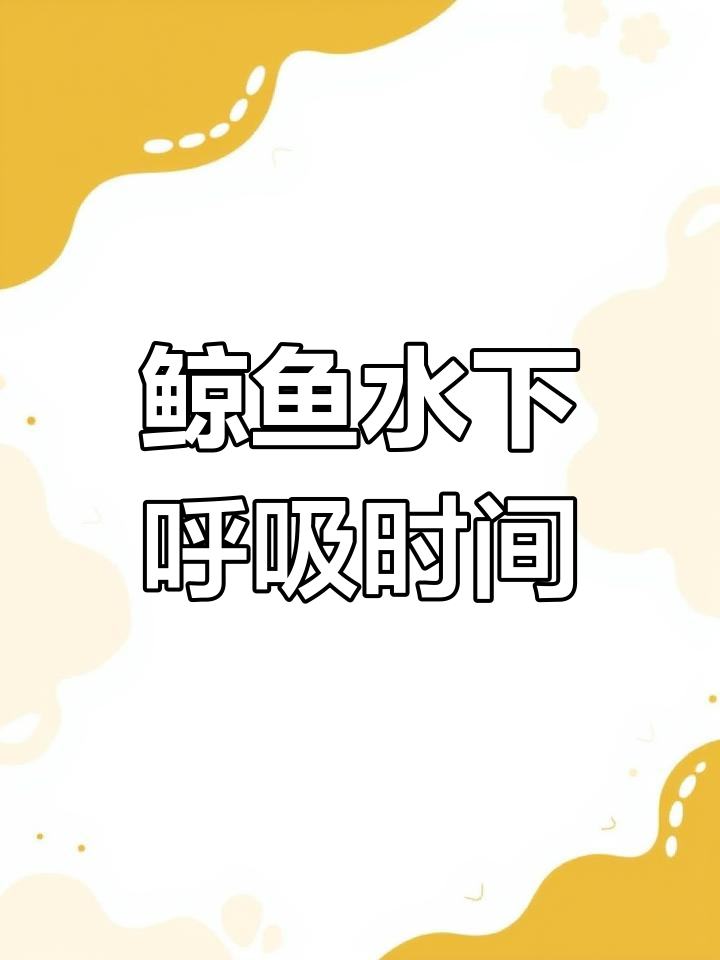 鲸鱼潜水换气揭秘:能待多久?