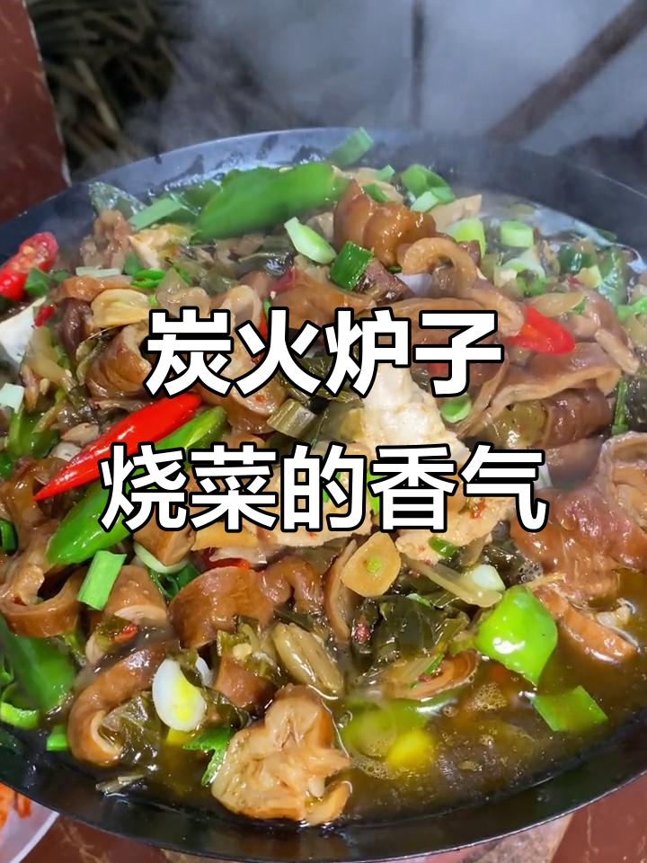 安徽炭火炉子烧菜,咸菜滚豆腐的家乡味