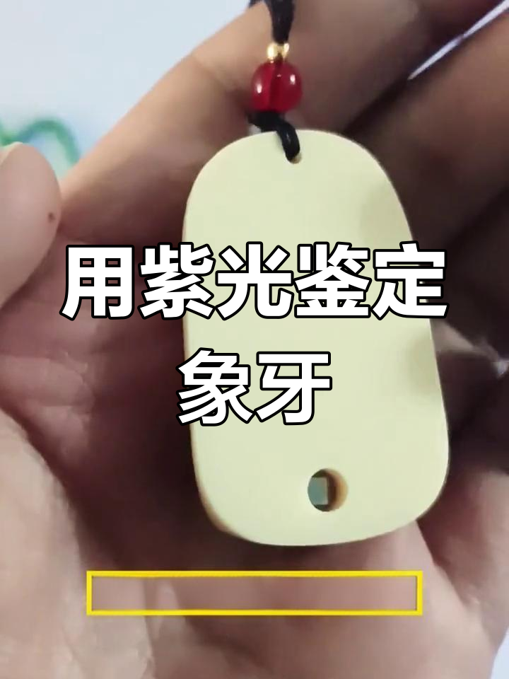 紫光手电轻松辨别象牙真假,修复痕迹一目了然