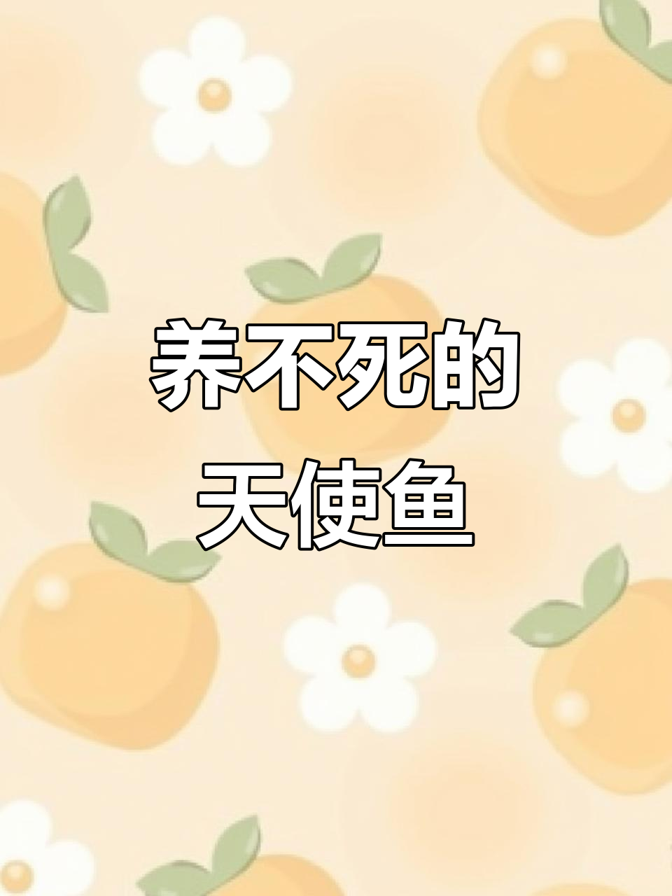 糖果色天使鱼,美丽又好养,打造童话水族世界