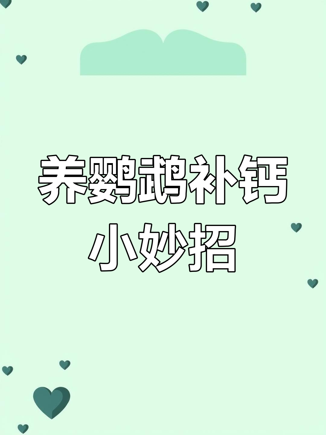 鹦鹉缺钙怎么办?墨鱼骨粉轻松解决