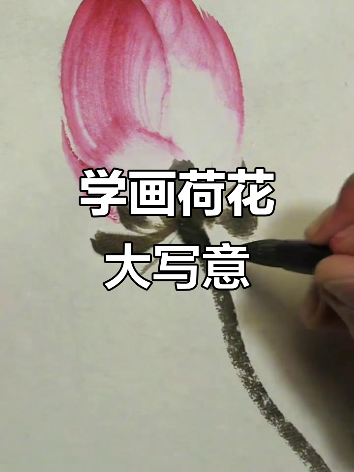 齐白石荷花大写意技巧揭秘,如何轻松画出栩栩如生的荷塘美景