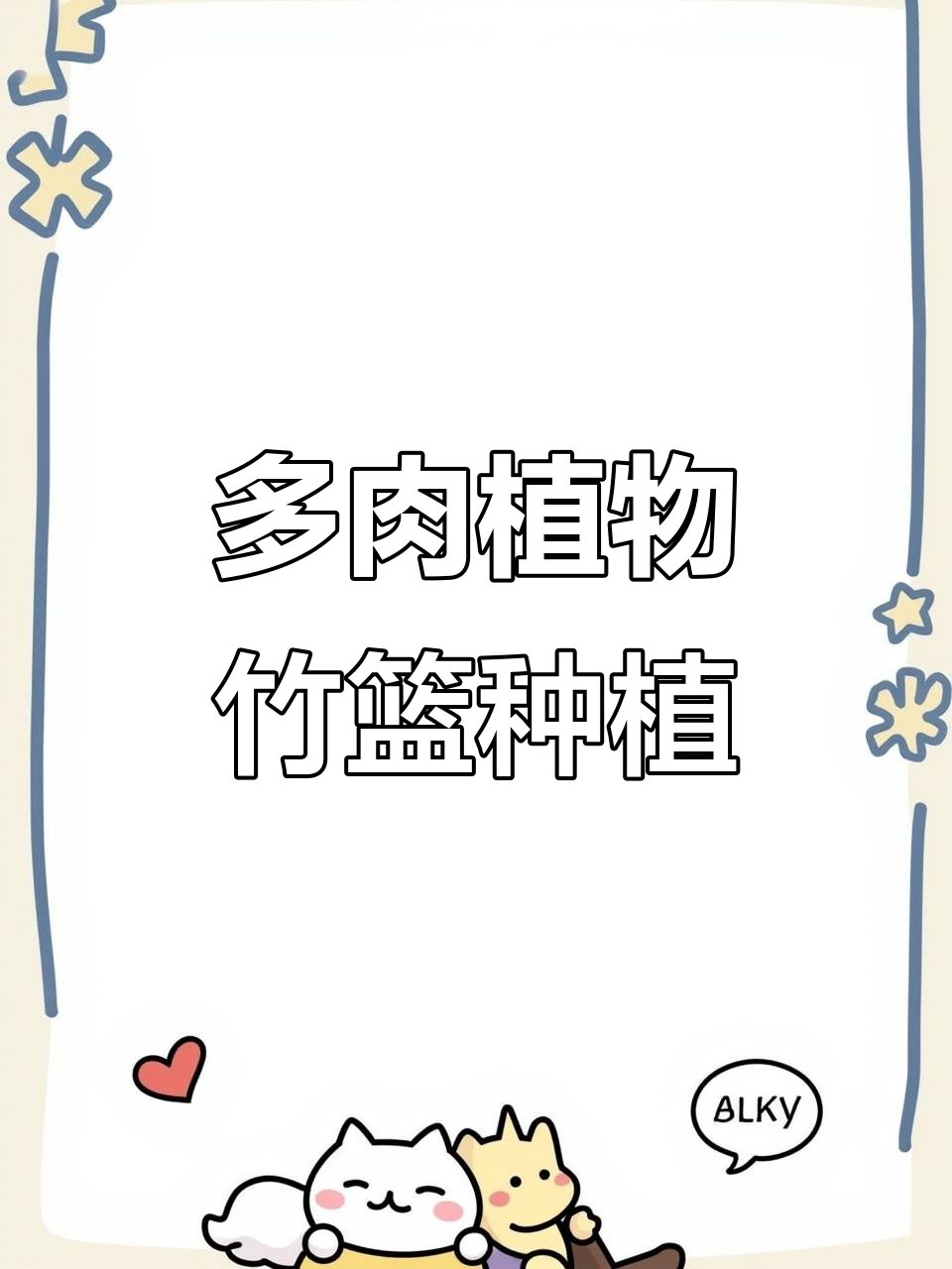 竹篮子种多肉,六个品种搭配超美