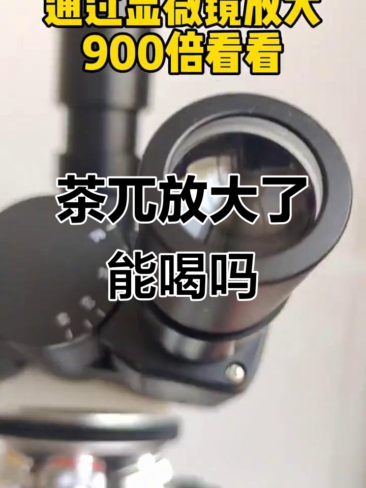 放大900倍看茶兀,竟然还能喝?