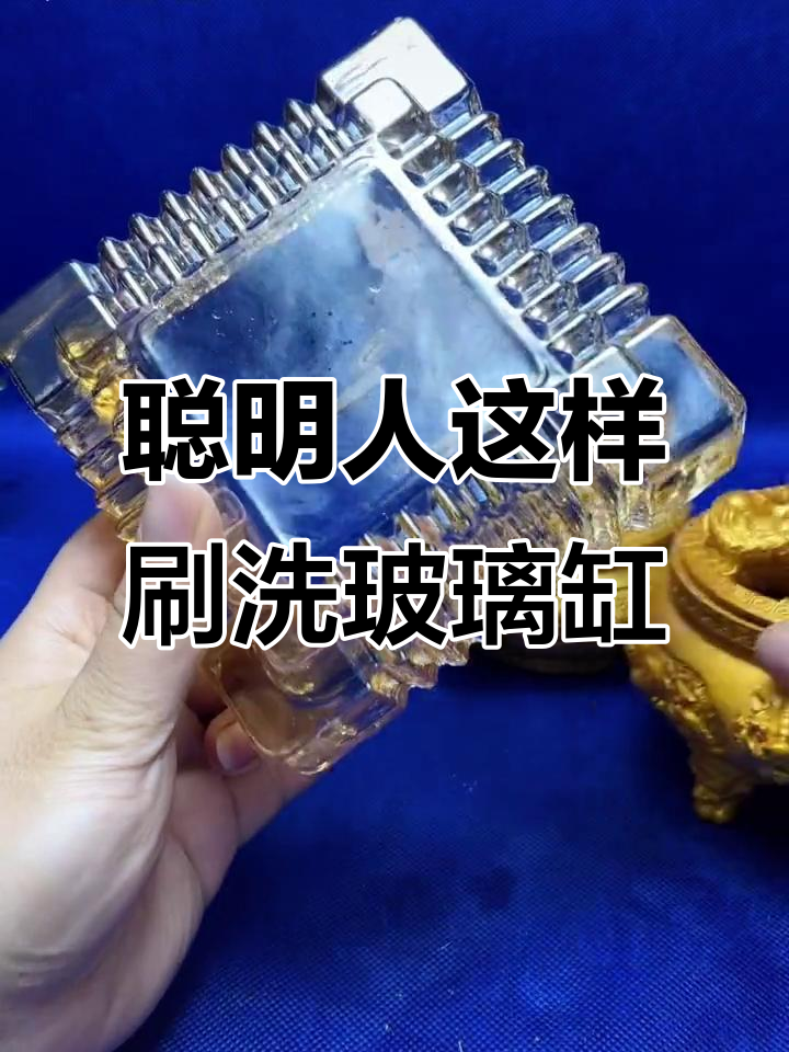 玻璃缸清洁小妙招,油渍轻松去除