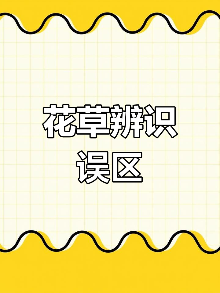 乐清市民误采萱草花当黄花菜,结果差点吃错