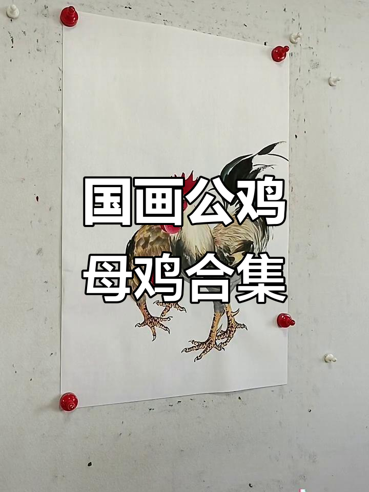 王兴民国画公鸡与母鸡，手绘技艺展示