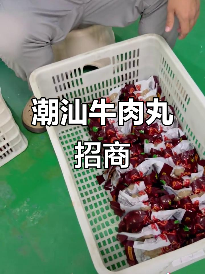 潮汕牛肉丸，源头工厂直供，货源稳定，欢迎合作！