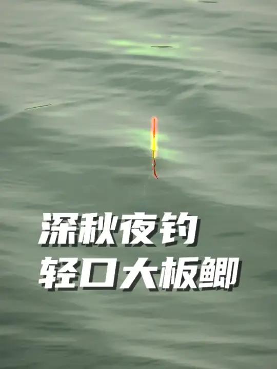 来夜钓啊,深秋夜钓轻口大板鲫 深秋夜钓鲫鱼口非常轻,尽可能选择轻量化装备。夜钓野钓 夜钓鲫
