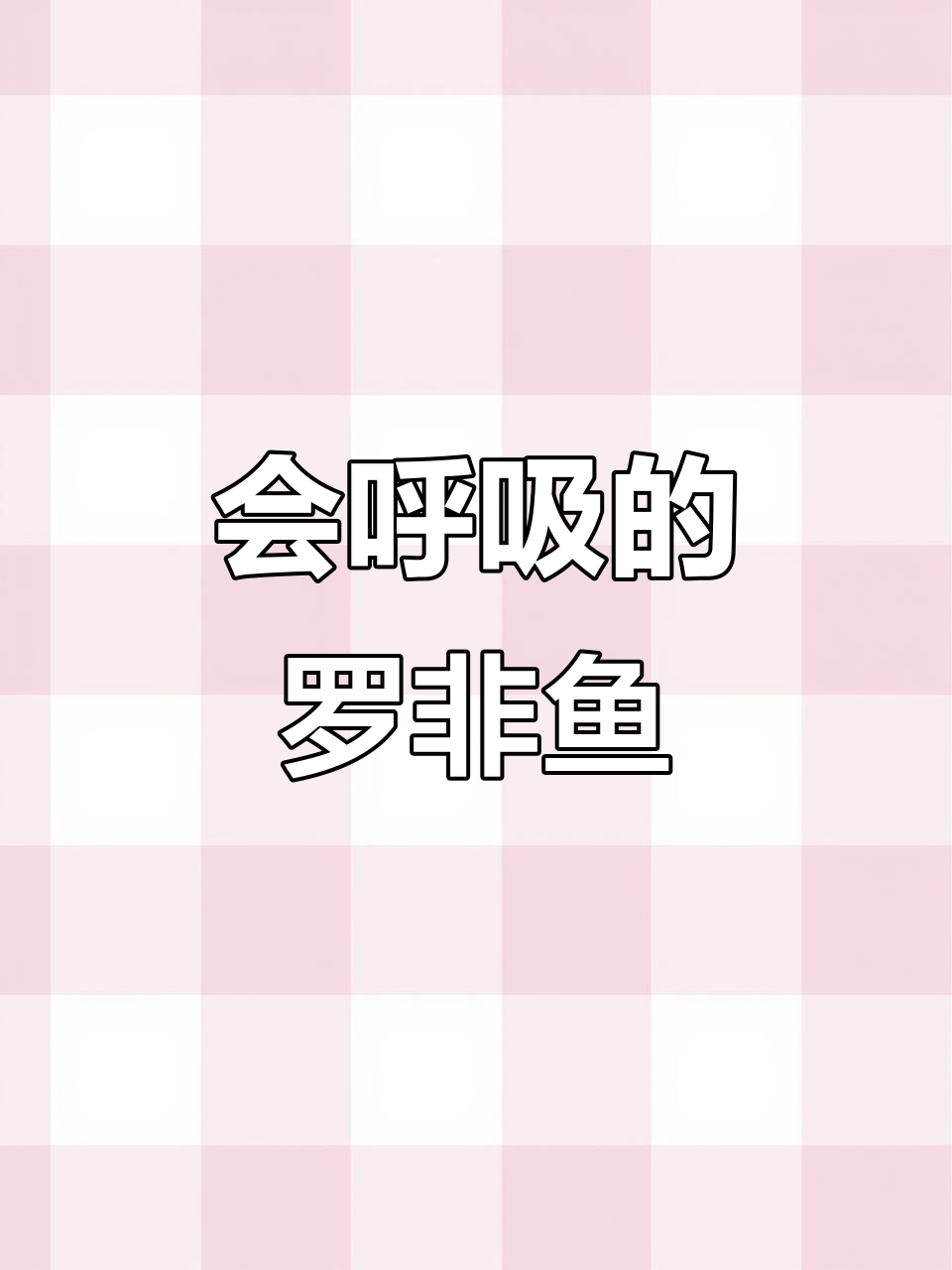 罗非鱼也能呼吸,看看它如何做到
