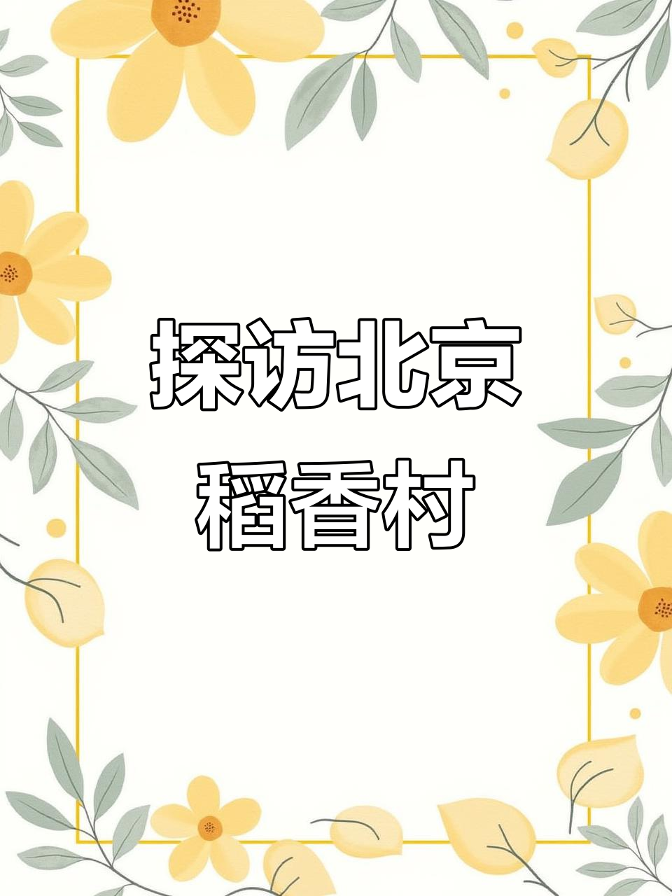 北京稻香村糕点大揭秘,中式美味来袭!