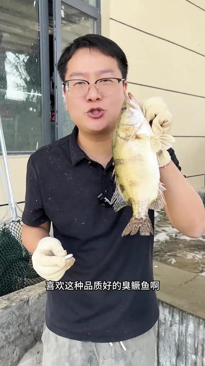 正宗黄山臭鳜鱼一定要用这种吃小鱼小虾长大的鳜鱼,品质有保障 臭鳜鱼 吃鱼 安徽特产