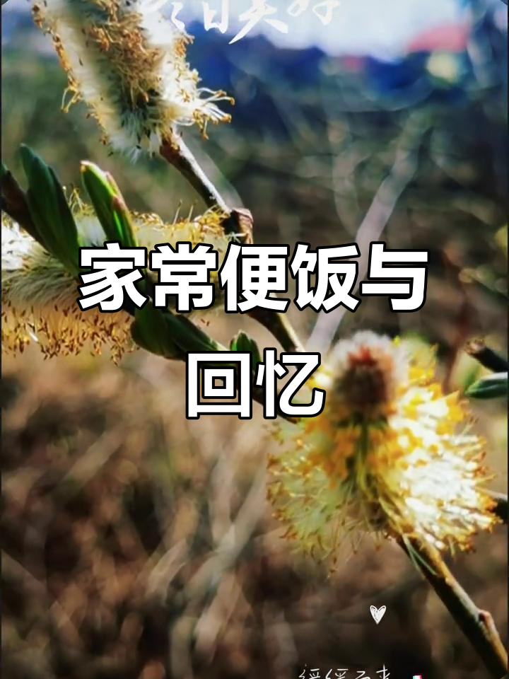 每一道家常菜,都是时光的味道,照片记录生活的美好瞬间