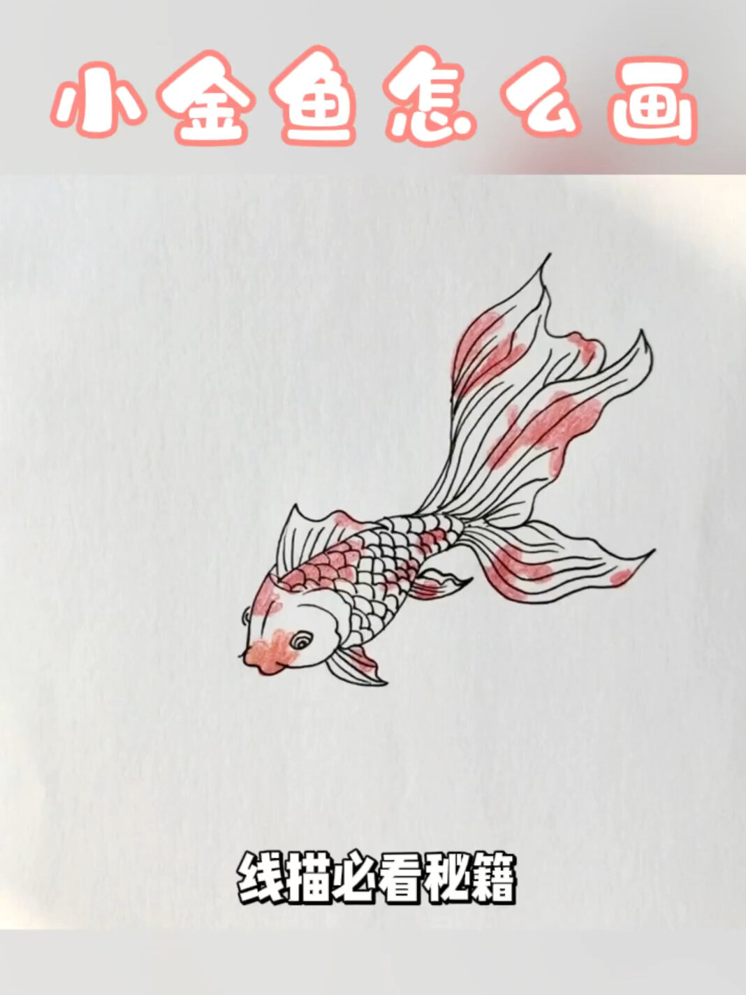 动物线描简笔画|小金鱼简笔画怎么画
