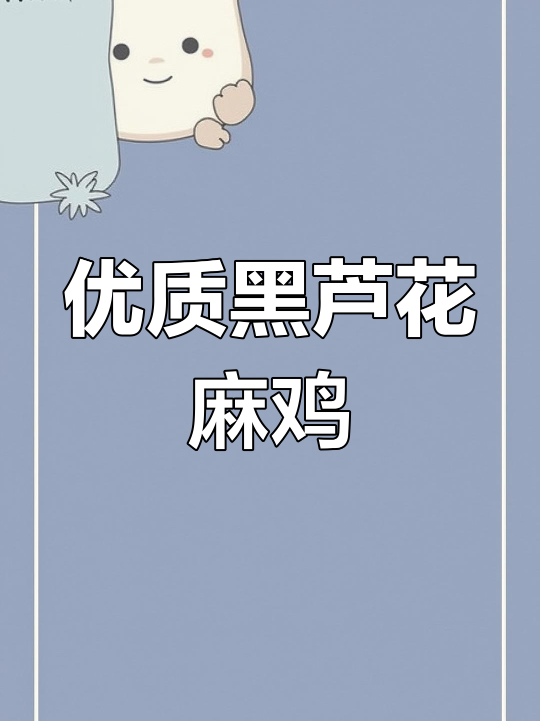 黑芦花与麻鸡苗,四两到半斤,现场实拍!