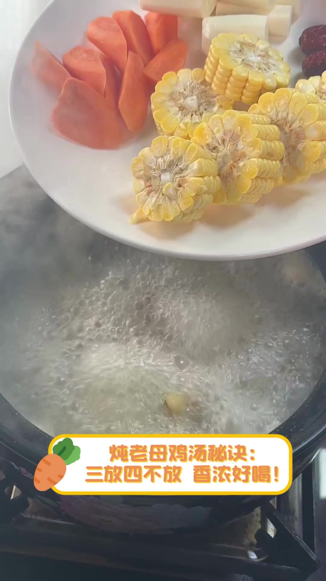 炖老母鸡汤秘诀:三放四不放,香浓好喝!