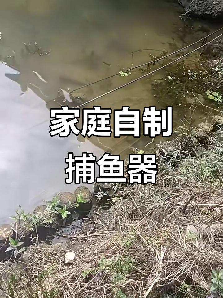 自制捕鱼神器,轻松捕捉河中鲜美小鱼