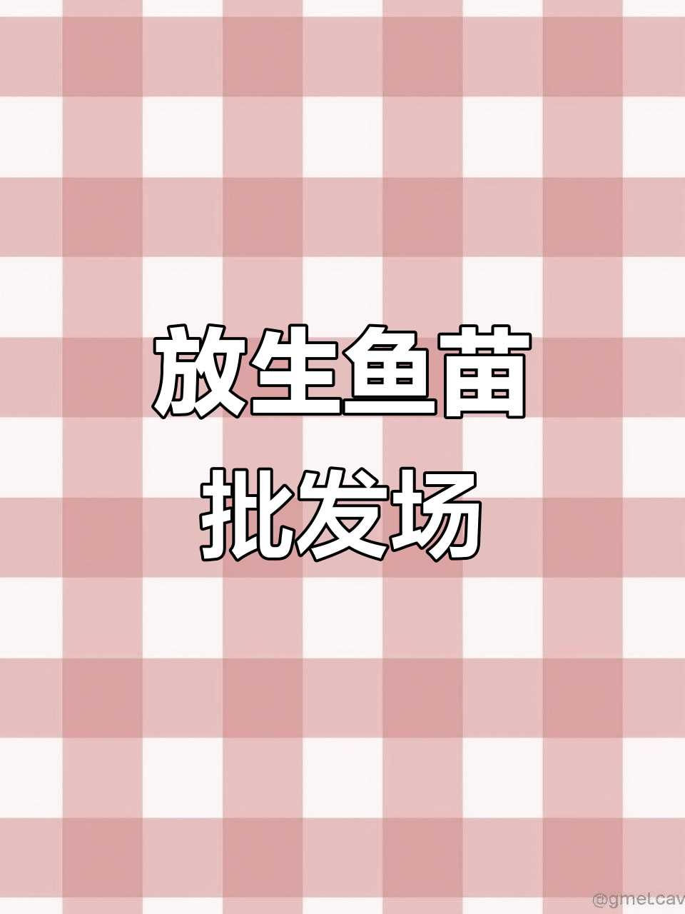 深圳东莞惠州佛山广州鱼苗批发放生基地