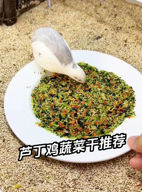 谁懂,这个蔬菜干太有营养了 小鸡超爱吃,补充维生素膳食纤维。芦丁鸡 小萌宠 芦丁鸡养殖