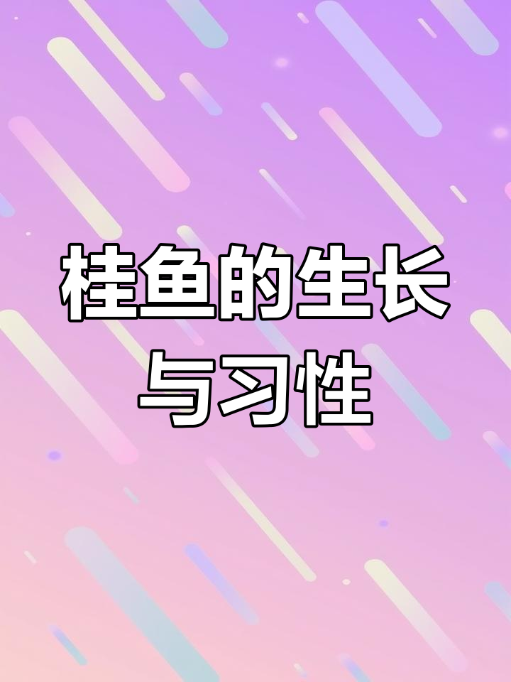 鳜鱼:美味肉食性淡水鱼类,栖息于静水或缓流中