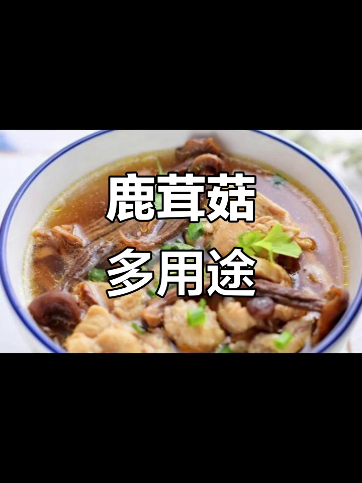 鹿茸菇多种做法,煲汤炒肉皆宜,干锅饺子馅更添风味