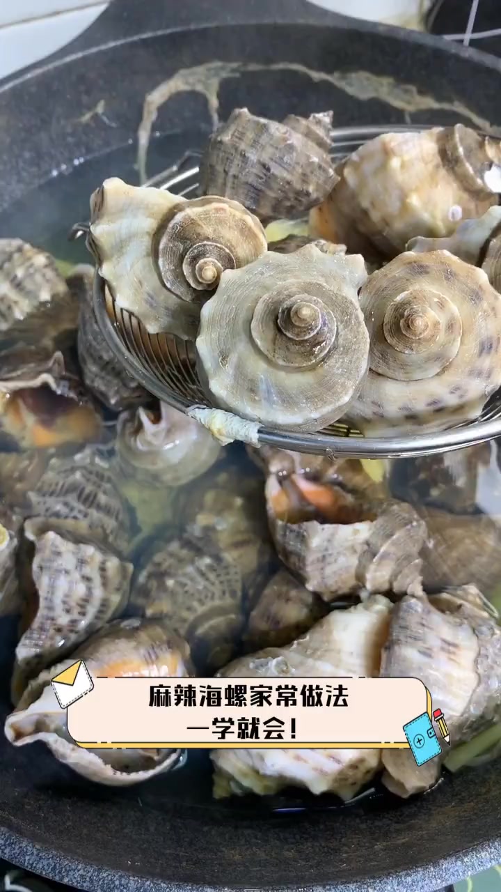麻辣海螺家常做法,一学就会!