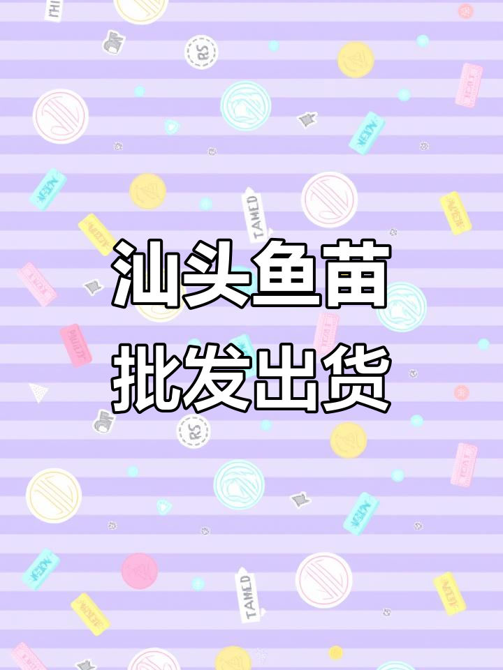 汕头普宁鱼苗批发,雨天里的标鱼大丰收