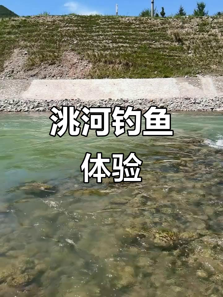 洮河钓鱼之旅：探秘水条与美景