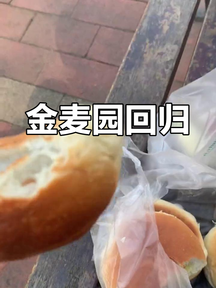 终于等到金麦园排队消失,糯米面包重现,激动得泪目!