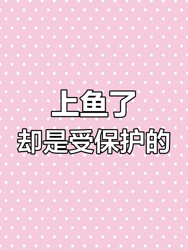 柳州发现珍稀鱼类,但竟是国家保护动物!