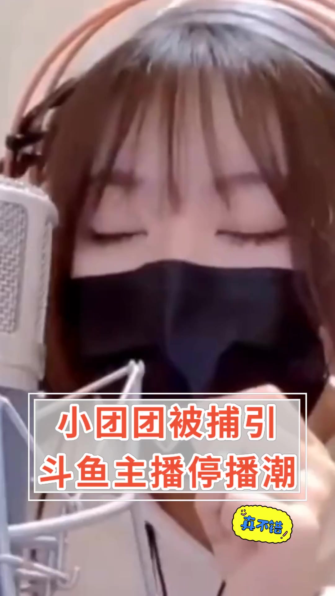 小团团被捕引,斗鱼主播停播潮