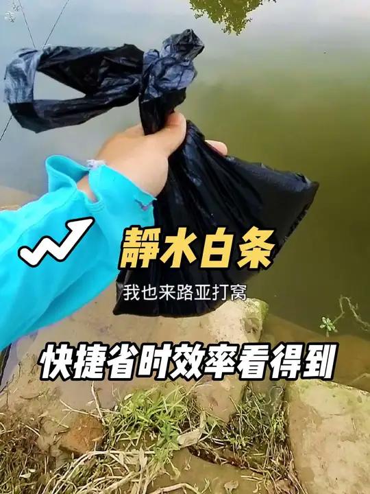 野河静水路亚白条鱼,听我劝打窝吧!方圆几平方米都是鱼好刺激的 这个视频记录也让我灵机一动,