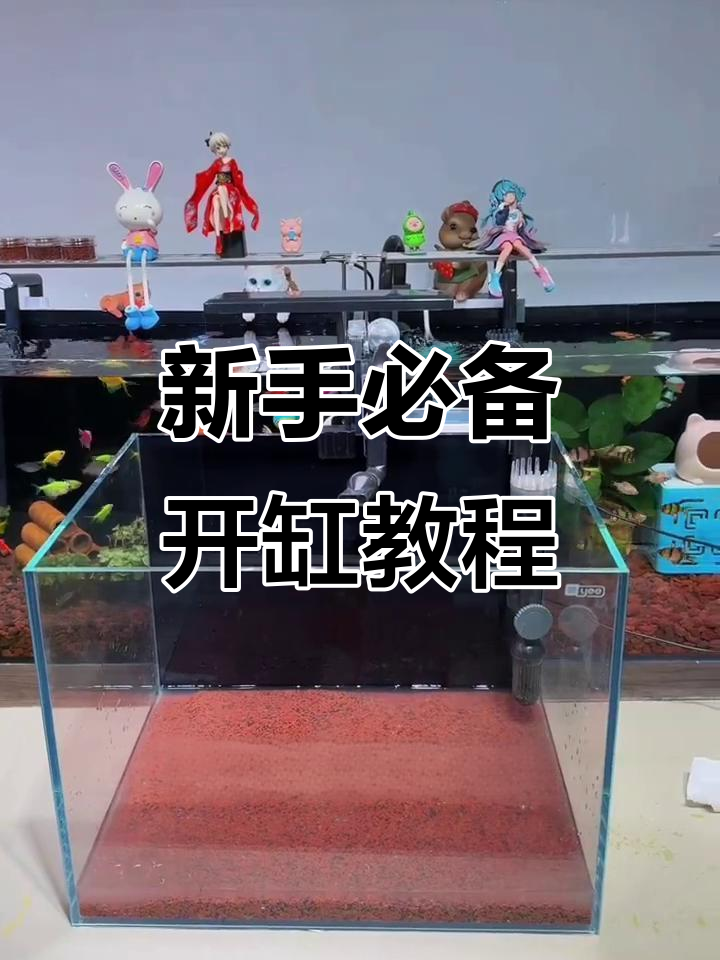 简单开缸流程，新手必看！四十乘三十鱼缸快速上手