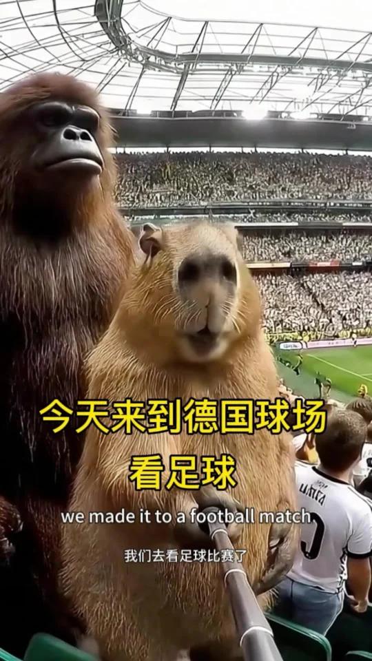 今天来到德国看足球