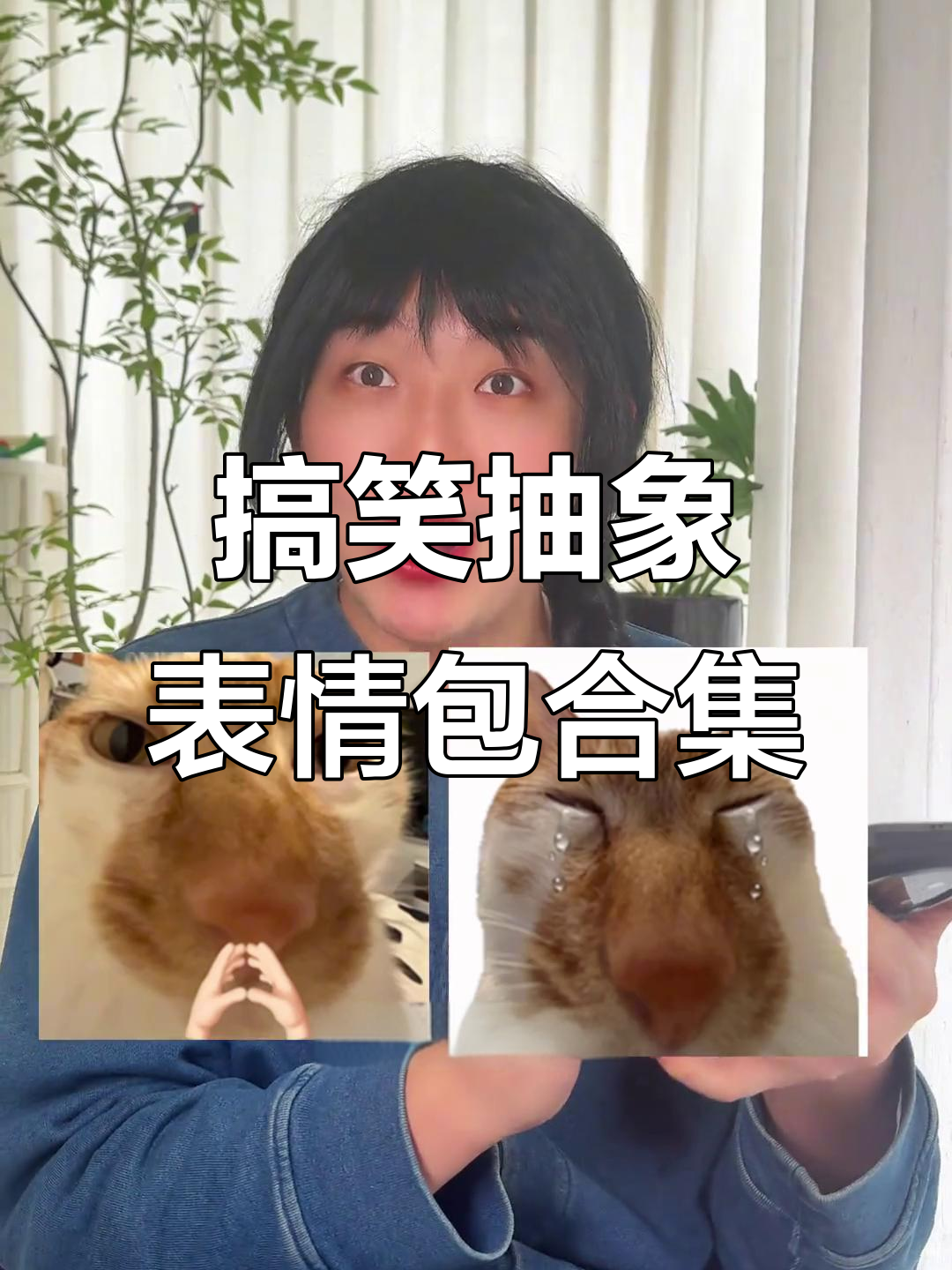 抽象表情包大赏!这些猫狗太搞笑了,简直让人笑疯了