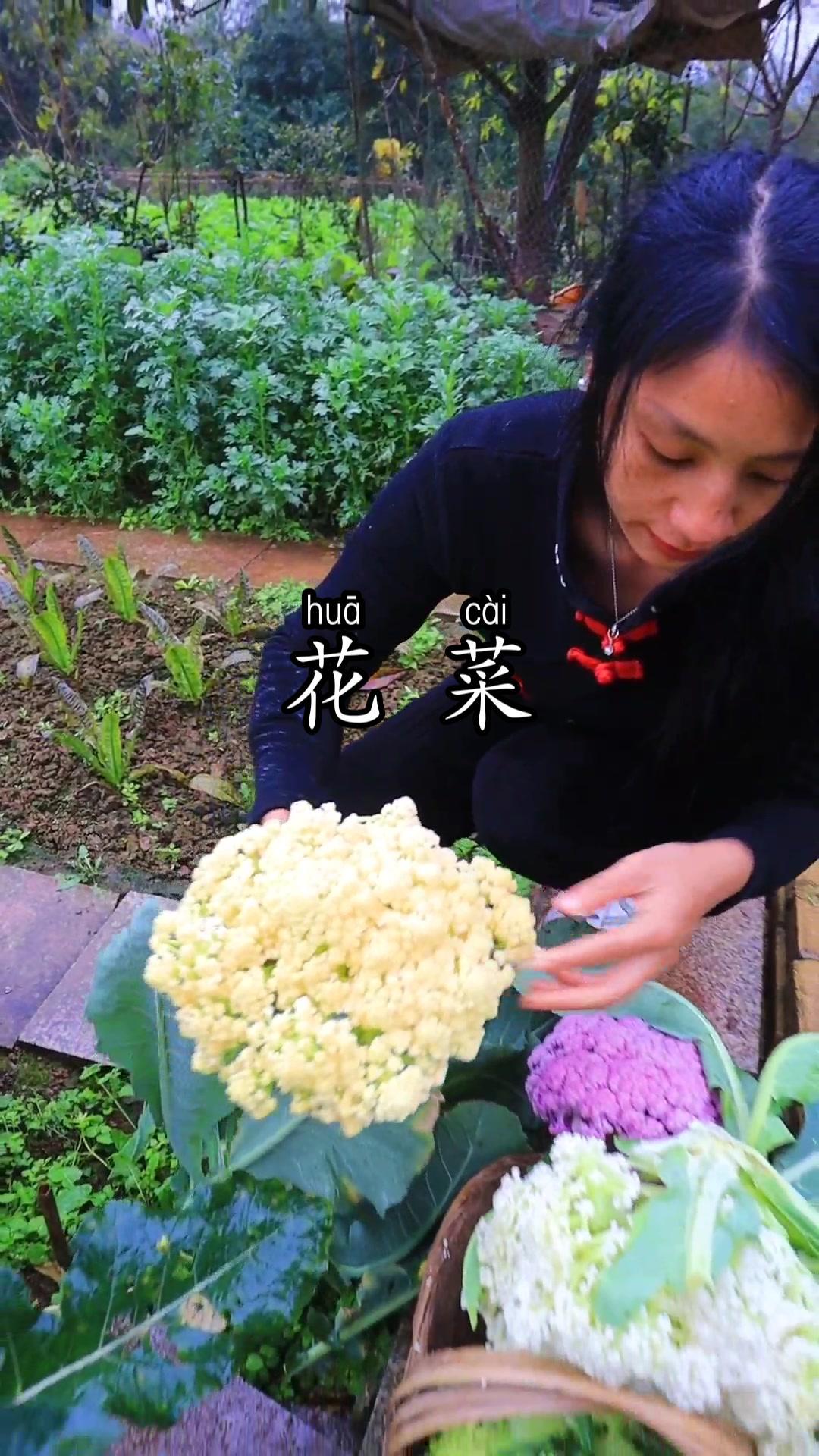 紫花菜火了，有朋友怀疑是滤镜调色