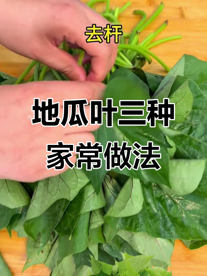 三种地瓜叶做法,简单又美味
