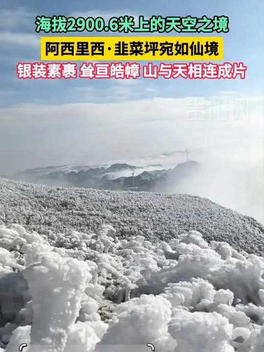 海拔2900.6米上的天空之境!阿西里西·韭菜坪宛如仙境(感谢:)