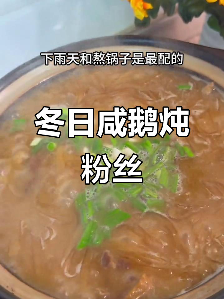 冬季暖心炖菜，咸鹅粉丝砂锅煲，香气扑鼻让人无法抗拒