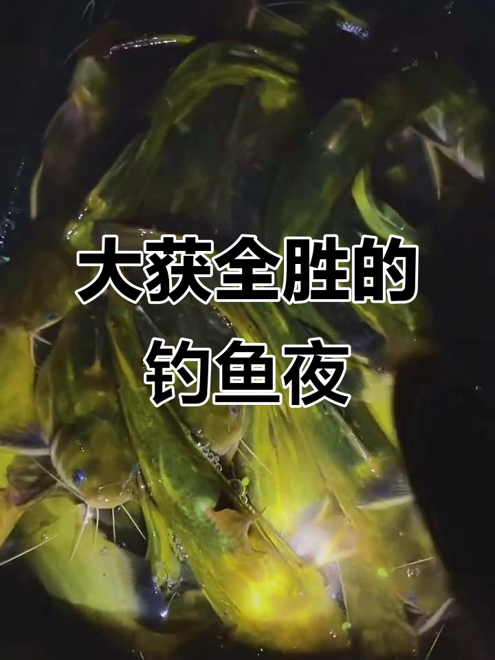今晚钓了40条,半斤以上的不少!野生河鱼大丰收!