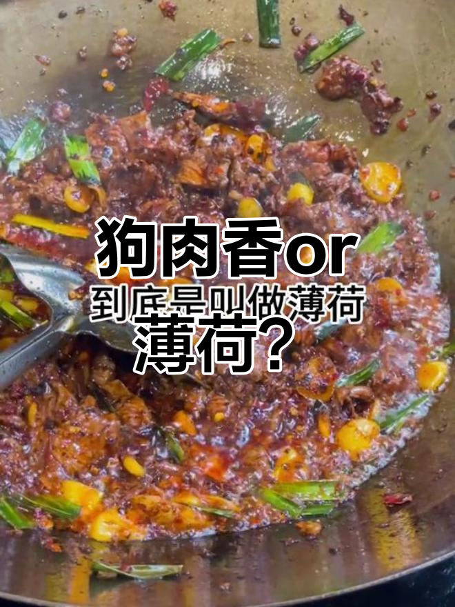 这是狗肉香还是薄荷?绿色叶子让人傻傻分不清