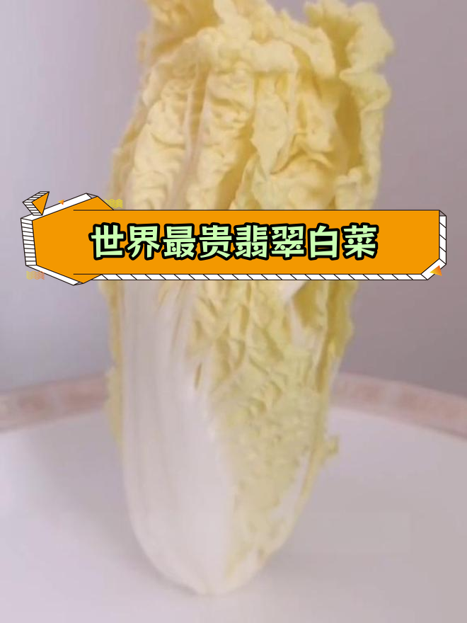 翠玉白菜:故宫珍宝的象征意义
