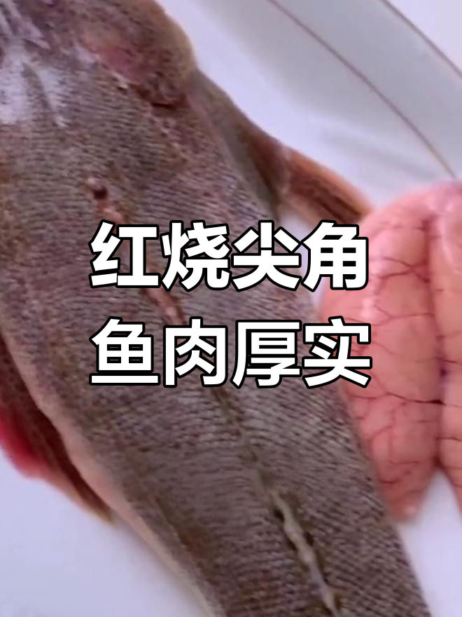 尖角鱼红烧做法,肉质鲜美无刺
